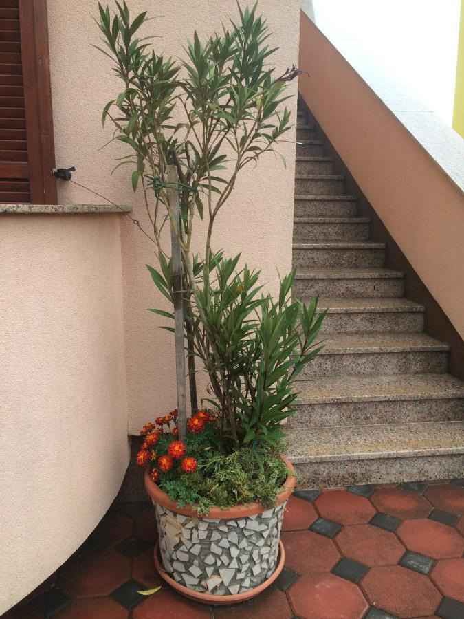 Apartmani Stefano Labin  Zewnętrze zdjęcie